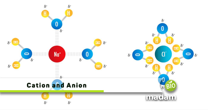 Cation-and-Anion