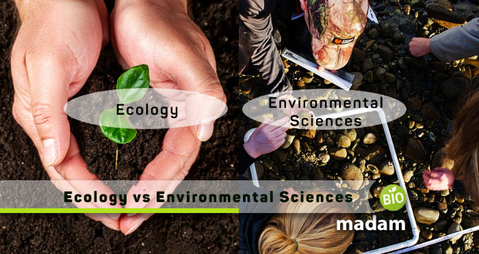 Ecology-vs-Environmental-Sciences