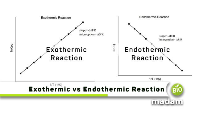 Exothermic-vs-Endothermic-Reaction