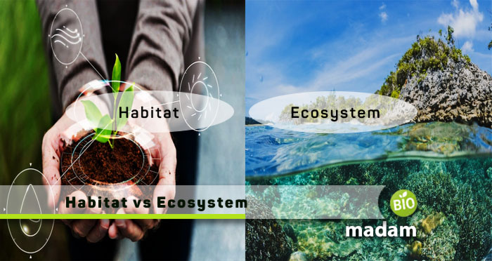 Habitat-vs-Ecosystem