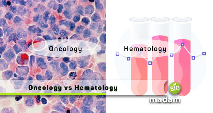 Oncology-vs-Hematology