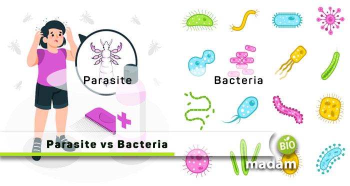 Parasite-vs-Bacteria