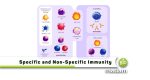 Not Specific Generalized Difference between Specific and Non-Specific Immunity - biomadam
