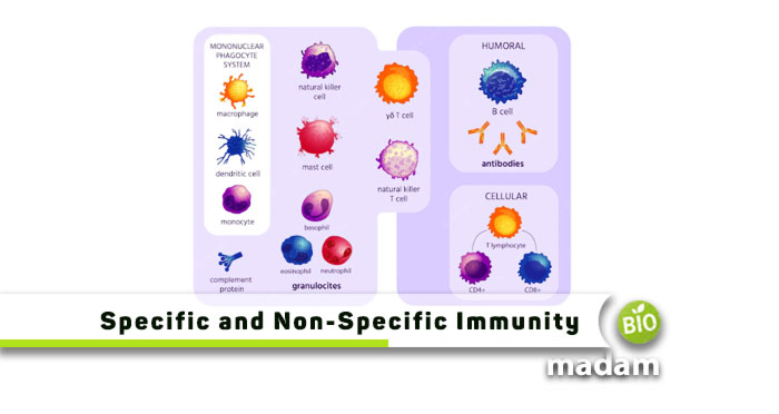 Specific-And-Non-specific-Immunity