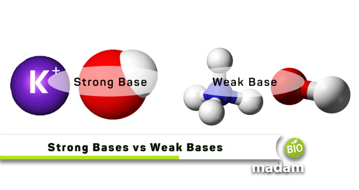Strong-Bases-vs-Weak-Bases