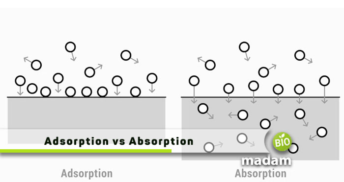 adsorption-vs-absorption
