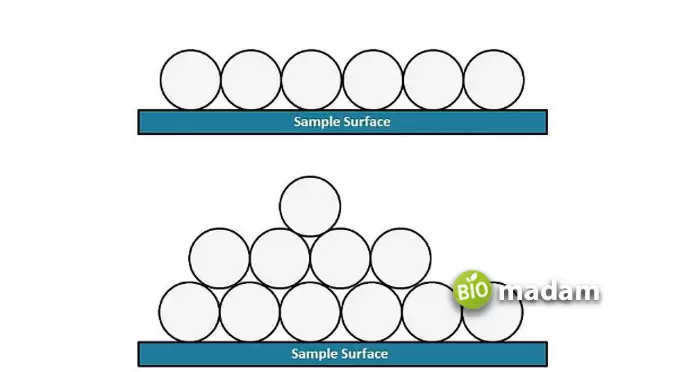 adsorption