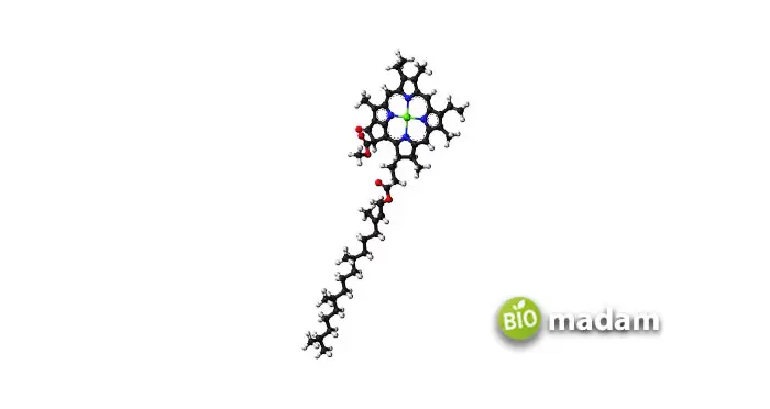chlorophyll-A-(rotate-right)