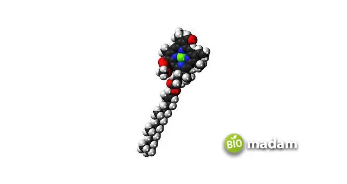chlorophyll-B-(rotate-right)