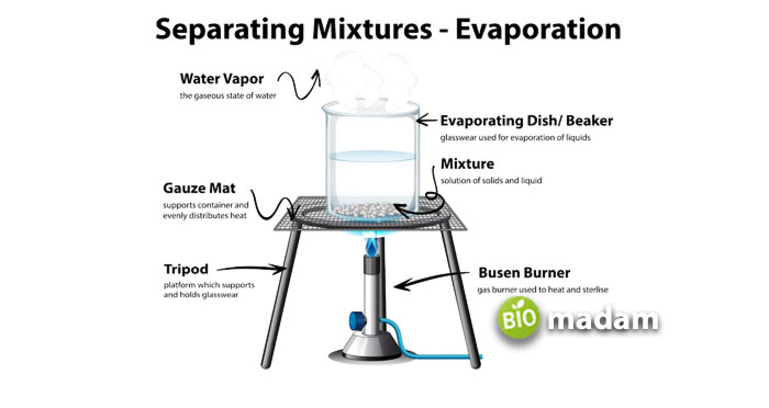 evaporation-experiment