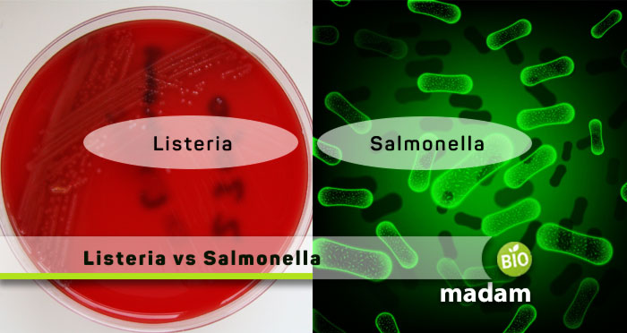 listeria-vs-salmonella