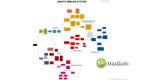 Difference between Specific and Non-Specific Immunity - biomadam