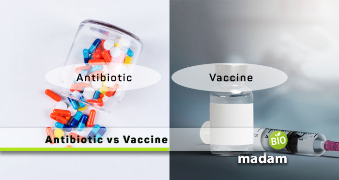 Antibiotic-vs-Vaccine