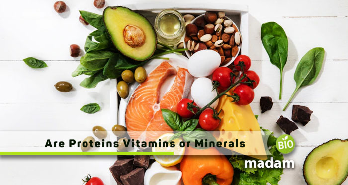 Are-Proteins-Vitamins-or-Minerals