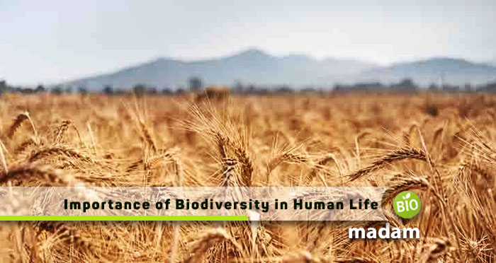 Importance-of-Biodiversity-in-Human-Life