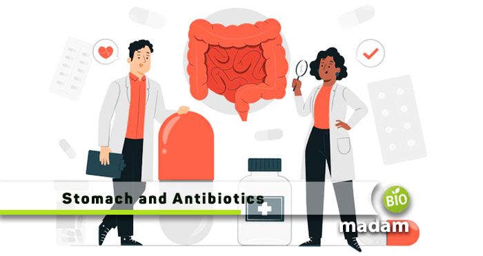 Stomach-and-Antibiotics