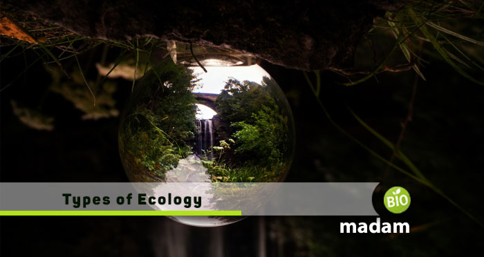 Types-of-Ecology