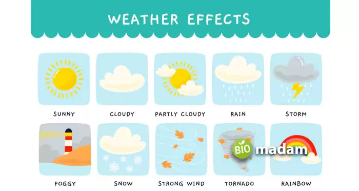Weather