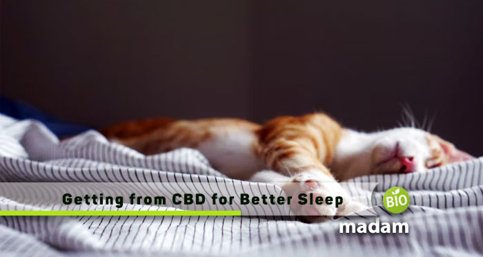Getting-from-CBD-for-Better-Sleep