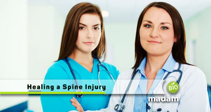 Healing-a-Spine-Injury