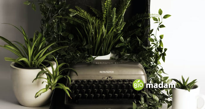 Type-writer-with-plants