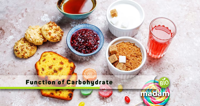 Function-of-Carbohydrate