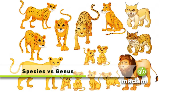 Species-vs-Genus