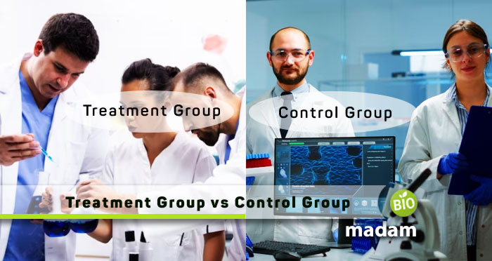 Treatment-Group-vs-Control-Group