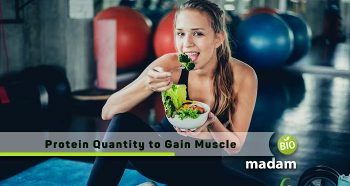 Protein-Quantity-to-Gain-Muscle