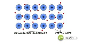 Do Metals Form Anions or Cations? - biomadam