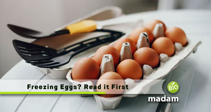 Freezing-Eggs-Read-it-First