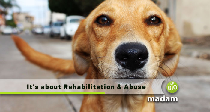 Its-about-Rehabilitation-Abuse