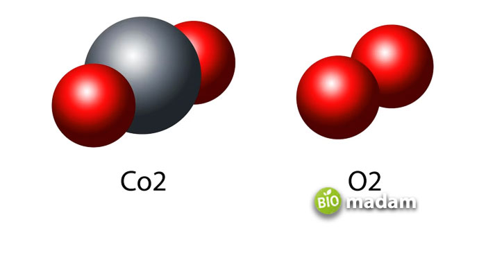 Covalent-Bonding