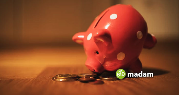 pig-save-money