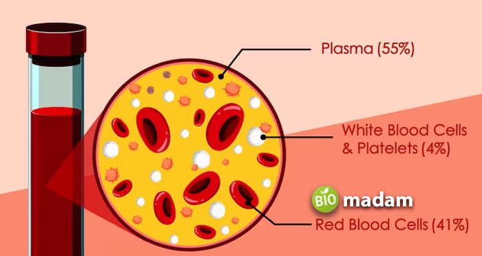 Composition-of-Blood-Cells