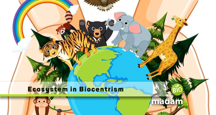 Ecosystem-in-Biocentrism