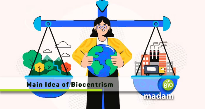 Main-Idea-of-Biocentrism