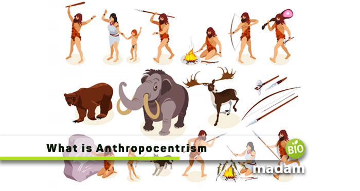 What-is-Anthropocentrism