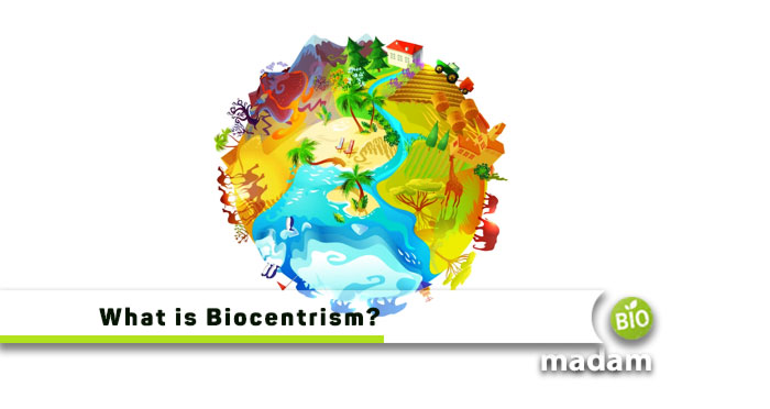 What-is-Biocentrism