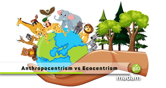 Anthropocentrism-vs-Ecocentrism