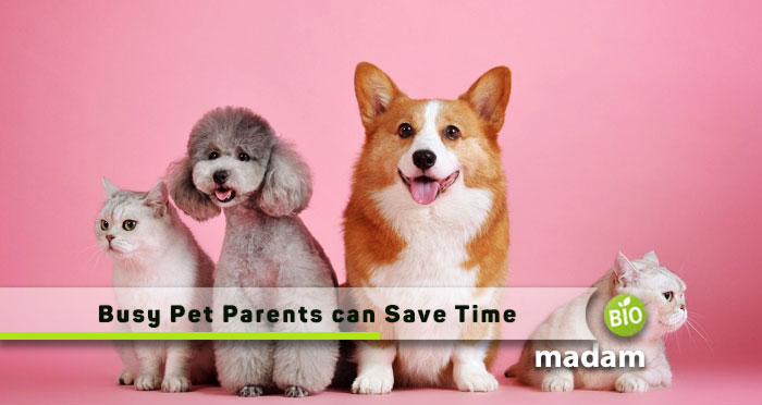 Busy-Pet-Parents-can-Save-Time