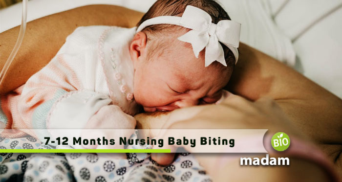 7-12-Months-Nursing-Baby-Biting