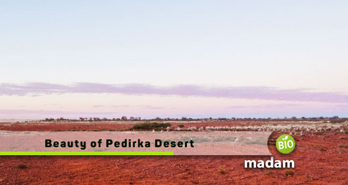 Beauty-of-Pedirka-Desert