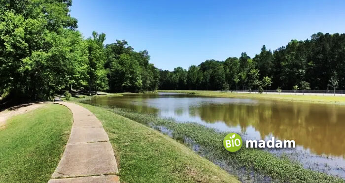 Duns-Falls-Water-Parks