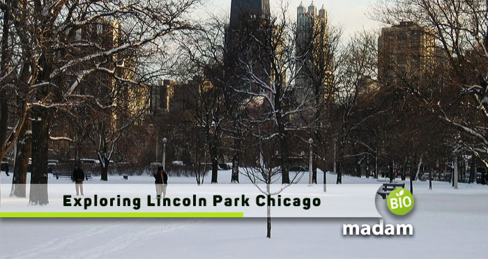 Exploring-Lincoln-Park-Chicago