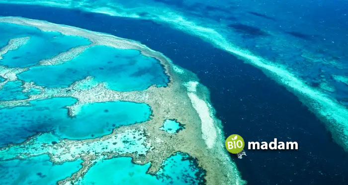 Great-Barrier-Reef-from-top