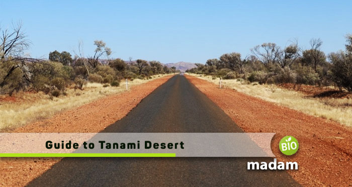 Guide-to-Tanami-Desert