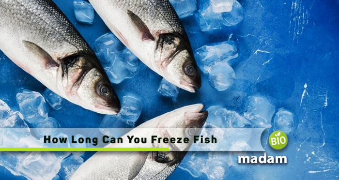 How-Long-Can-You-Freeze-Fish