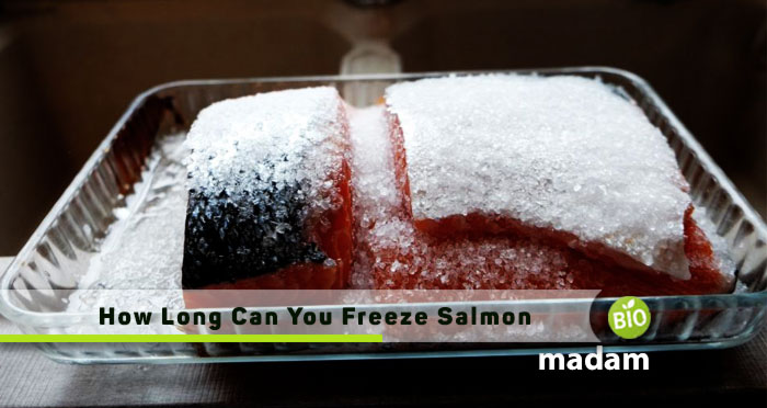 How-Long-Can-You-Freeze-Salmon