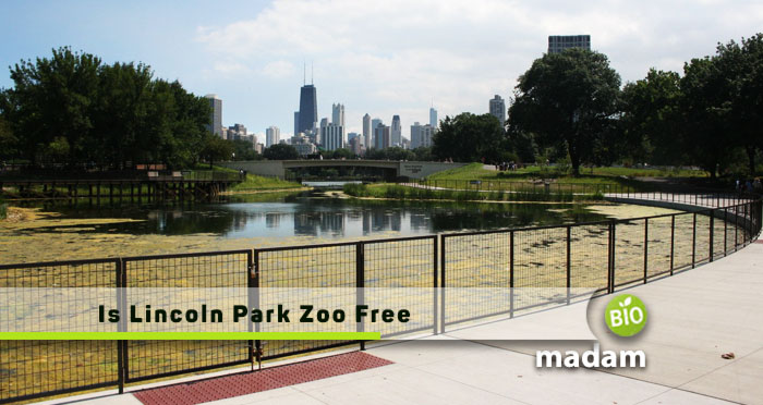 Is-Lincoln-Park-Zoo-Free